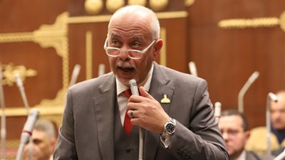 النائب حازم الجندي: ذكرى تحرير سيناء عنواناً لهزيمة اليأس وقهر المستحيل