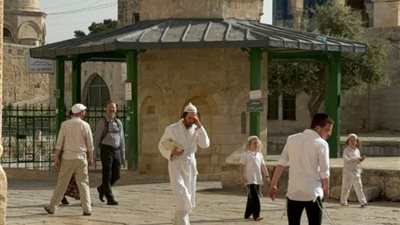 مستوطنون يقتحمون باحات المسجد الأقصى في أول أيام عيد الفصح اليهودي