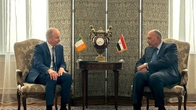 مباحثات بين شكري ونظيره الإيرلندي حول العلاقات الثنائية والحرب على غزة
