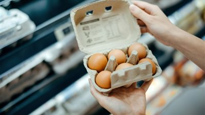 تراجع أسعار كرتونة البيض الأبيض والبلدي