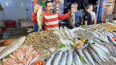 على نهج «خليها تعفن»، أسماك الإسماعيلية تخفض أسعار البوري والبلطي والجمبري 30%