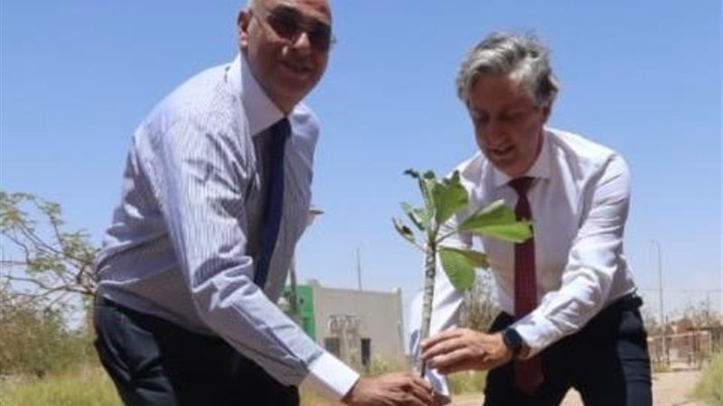 اليساندرو فراكاسيتي