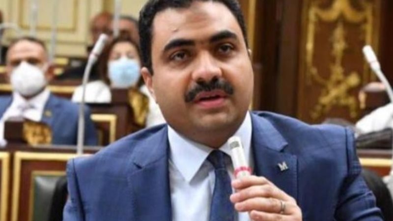 النائب محمود قاسم