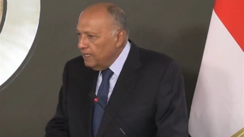 وزير الخارجية سامح شكري