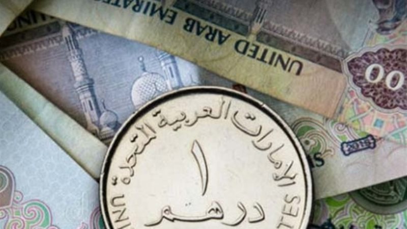 سعر الدرهم الاماراتي أمام الجنيه المصري