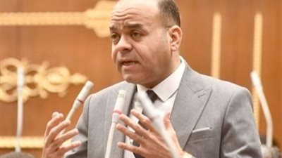 النائب عمرو القماطي: التحالف الوطني يقوم بدور رائد على كافة المستويات