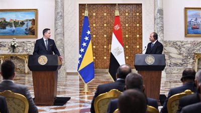 الرئيس السيسي يؤكد على ضرورة إقامة دولة فلسطينية على حدود 67