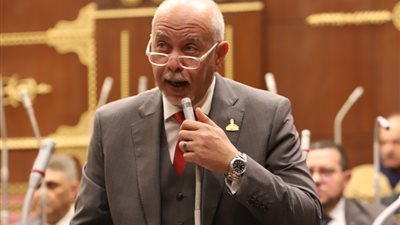النائب حازم الجندي يطالب بربط مخرجات التعليم العالي بسوق العمل
