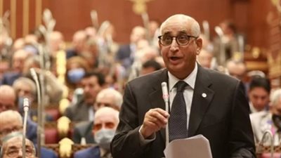 النائب حسانين توفيق: مراكز البيانات حجر الأساس للتحول الرقمي في مصر