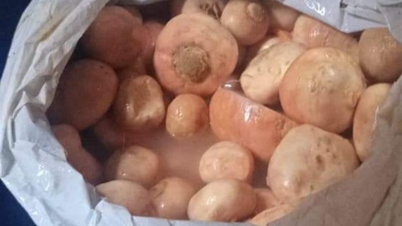 جانب من المضبوطات