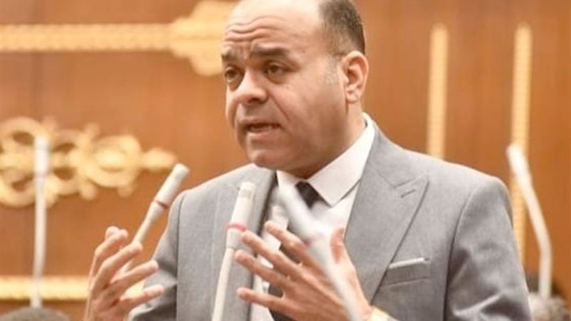 النائب عمرو القماطي