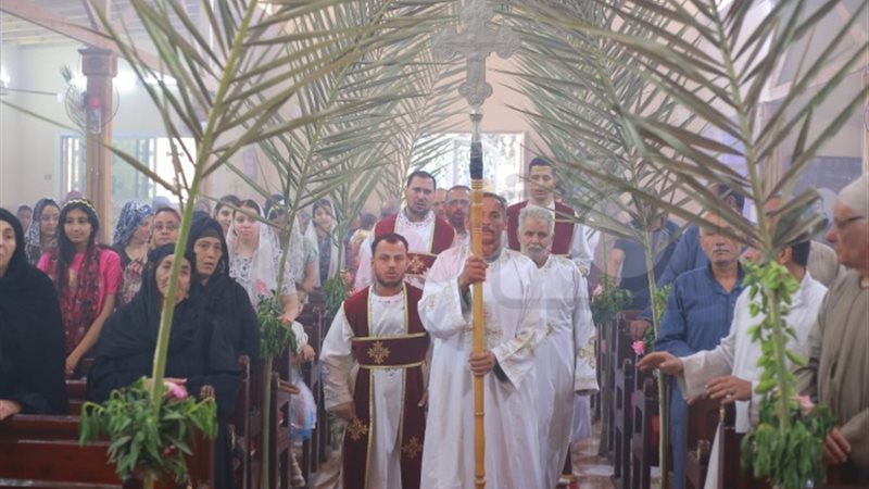 احتفالات الأقباط بعيد السعف من محافظة المنوفية