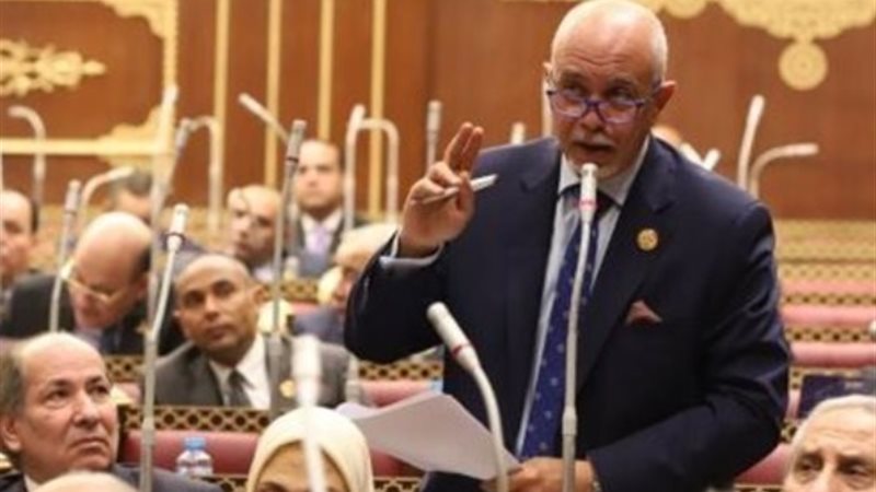 المهندس حازم الجندي، عضو مجلس الشيوخ
