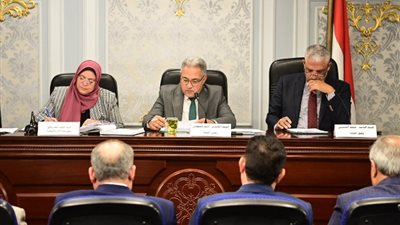 «محلية النواب» تطالب بحصر أملاك الدولة بالشرقية وتسعيرها