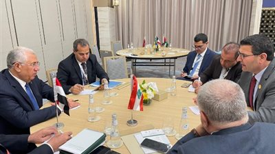 مصر ولبنان تبحثان إزالة العقبات أمام المصدريين الزراعيين