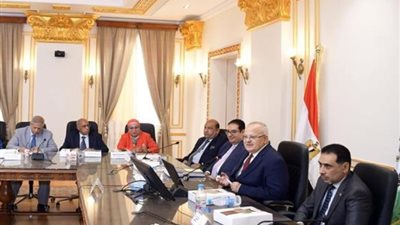 «رئيس القاهرة»: دخول 6 تخصصات لأول مرة في تاريخ مصر ضمن أفضل 100 جامعة عالميًا