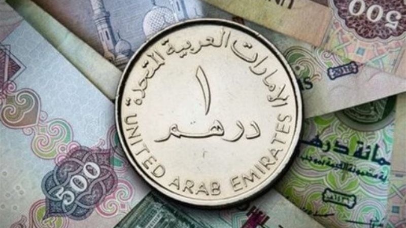 الدرهم الإماراتي