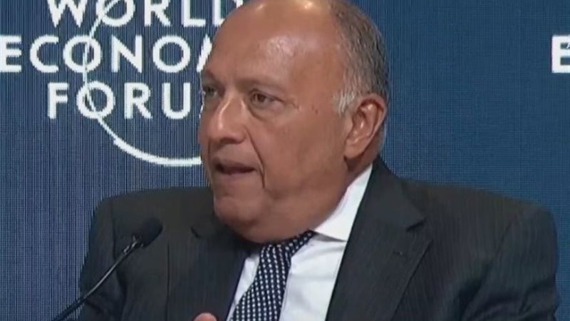 وزير الخارجية سامح شكري
