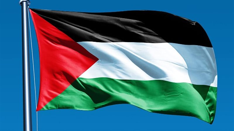 علم فلسطين - أرشيفية