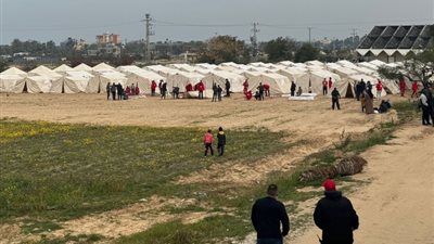 «الليبرالي المصري» يدين العملية العسكرية الإسرائيلية في رفح
