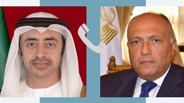 سامح شكري ونظيره