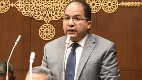 النائب عادل اللمعي