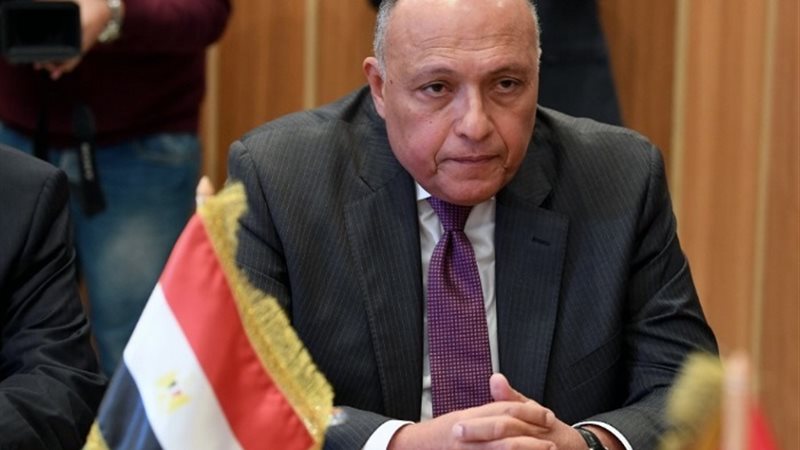 وزير الخارجية سامح شكري