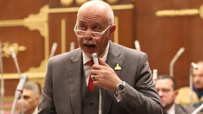 برلماني: مصر تبذل جهودا كبيرة لدعم القضية الفلسطينية ورفض مخطط التهجير