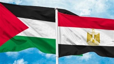 مصدر رفيع المستوى: القاهرة مستمرة في تقريب وجهات النظر للتوصل لهدنة في غزة
