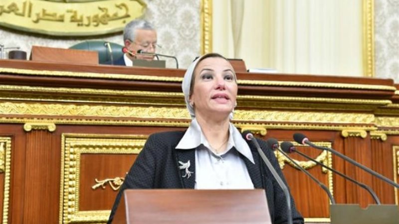 النائبة سميرة الجزار