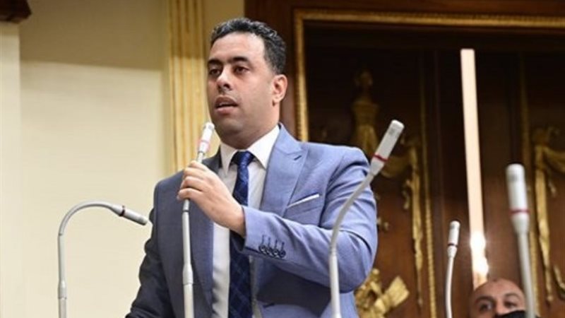 النائب أحمد فرغلي
