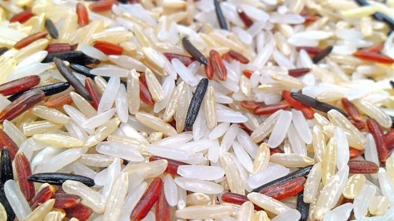 الأرز- أرشيفية