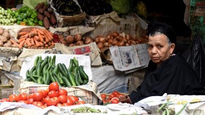 «مكافحة وردع»، مصر واجهت التضخم بالقضاء على محتكري السلع في 6 أشهر