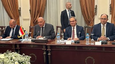 سامح شكري يترأس جلسة مباحثات واسعة بين وفدي مصر وسلوفينيا في القاهرة