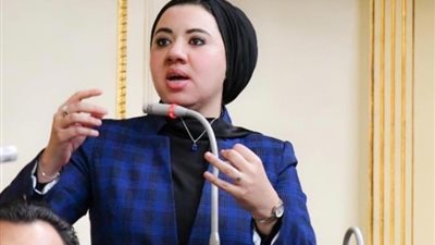 برلمانية: نرى مشاهد غير مسبوقة في الوعى بالقضية الفلسطينية