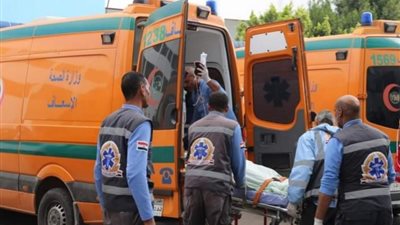 مصرع شخصين وإصابة آخر في حادث مروع على الطريق الإقليمي بالمنوفية