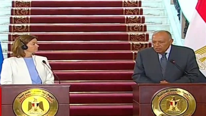 سامح شكري ونظيرته السلوفينية