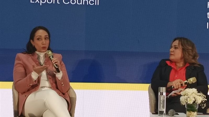 سارة إبراهيم المدير التنفيذي للمجلس التصديري لصناعات التغلي