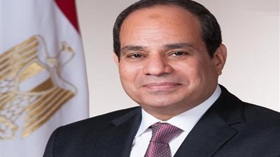 بعد قرار الرئيس السيسي بإنشائها، ننشر دور المجالس التخصصية بالتفصيل