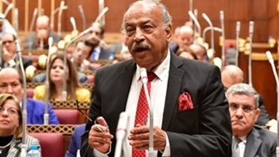 برلماني: القمة العربية تركز على «لاءات القاهرة الثلاث» دعمًا للقضية الفلسطينية