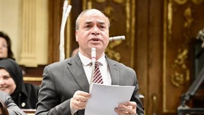 عضو بـ «النواب»: كلمة الرئيس السيسي راعت الجوانب الإنسانية في غزة
