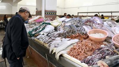 تباين في أسعار السمك بالأسواق بختام تعاملات الخميس 16-5-2024