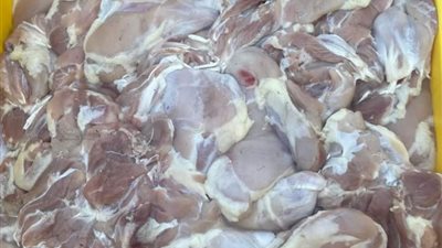 ضبط 560 كيلو جرام دواجن غير صالحة للاستهلاك الآدمي بدمياط