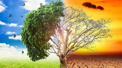 التغير المناخي يجتاح العالم، وخبراء «يؤثر على الاقتصاد العالمي» (خاص)