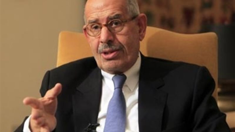 الدكتور محمد البرادعي