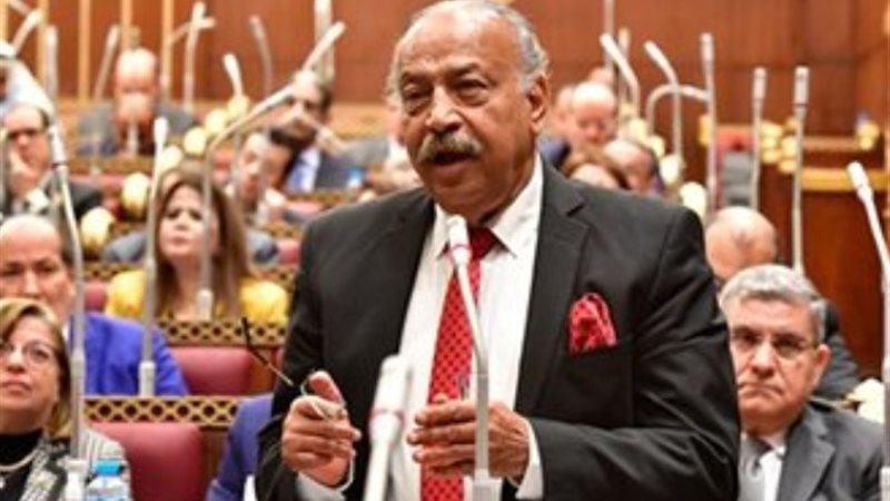 هاني العسال عضو مجلس الشيوخ