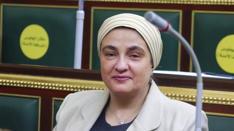 النائبة سميرة الجزار عضو مجلس النواب