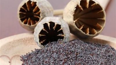 ضبط عاطل بحوزته 10كيلو أفيون في دار السلام