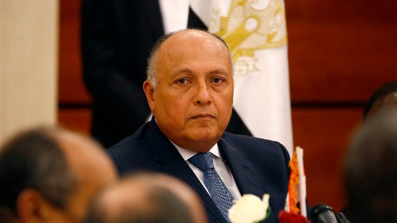 وزير الخارجية سامح شكري