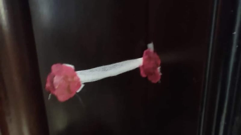 جانب من الحملة